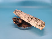 Smudge Sticks