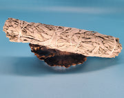 Smudge Sticks